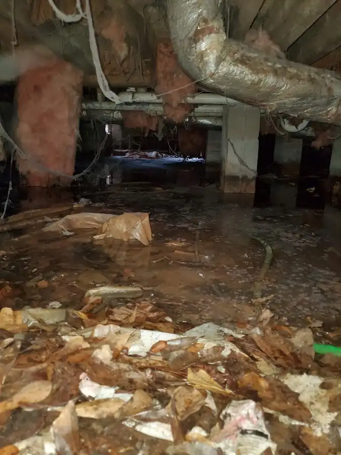 Crawl space flood assessment for Commercial Water Damage Restoration in Pecan Plantation
