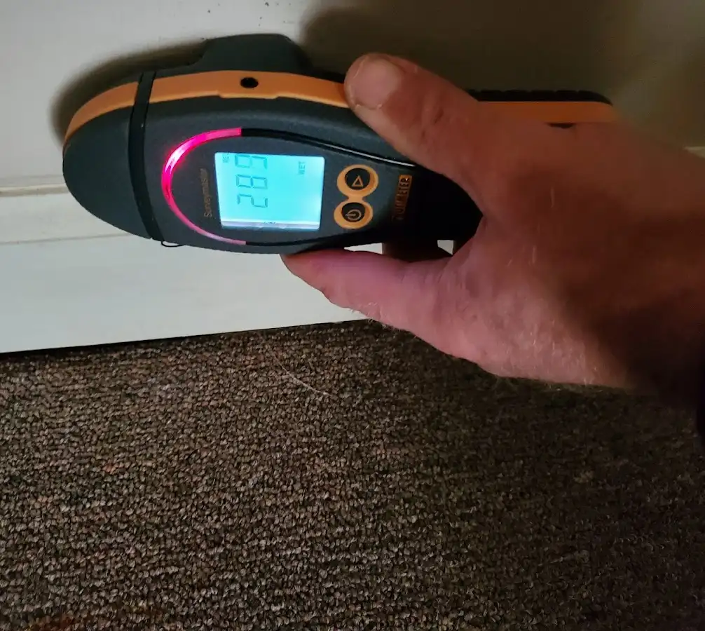 Moisture detection at baseboard during Sewage Cleanup & Sanitation in Pecan Plantation