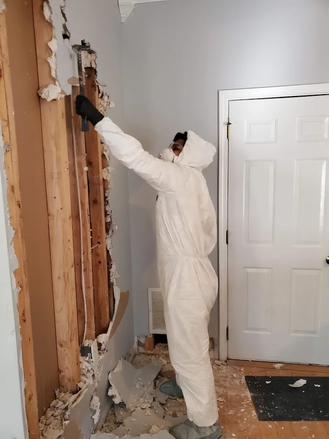 Commercial Water Damage Restoration in Pecan Plantation, TX